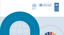 En la portada aparecen los logotipos de la Oficina de Coordinación del Desarrollo de las Naciones Unidas, el ACNUR y el PNUD, así como algunos elementos de diseño y el título de la publicación.