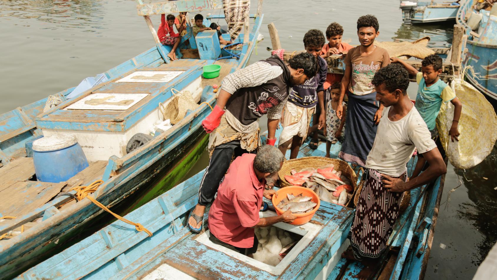 Des pêcheurs s'affairent autour d'une bassine remplie de poissons, à Hodeidah, le long de la côte de la mer Rouge, au Yémen. 