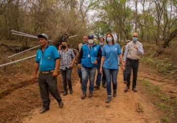 A group of people in face masks walk together through a forested area.