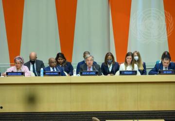 صورة لمجموعة من المسؤولين الكبار في الأمم المتحدة يجلسون خلال اجتماع المجلس الاقتصادي والاجتماعي.  
