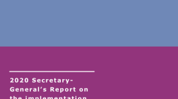 Cover shows the title "2020 Secretary General's Report on the implementation of the quadrennial comprehensive policy review" against a purple and blue background.