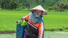 Una trabajadora agrícola recolecta productos agrícolas en la provincia de Xieng Khouang, República Democrática Popular Lao.