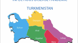 Cover shows the title, "Immediate Socio-Economic Response Plan to Acute Infectious Disease Pandemic for Turkmenistan" above the Turkmenistan map.