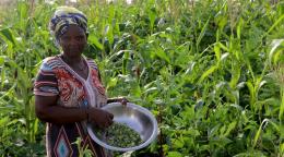 A woman holds a bowl of beans as she stands in the middle of a lush field of crops.