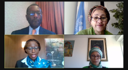 Una captura de pantalla de la reunión virtual con la propia Vicesecretaria General de las Naciones Unidas (Amina J. Mohammed), cuya imagen se aprecia en la parte superior derecha, con los participantes de la reunión a la izquierda y debajo de la visual de la Sra. Amina Mohammed.