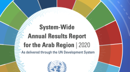 A colorful image of the cover for the Annual Report and the United Nations Logo