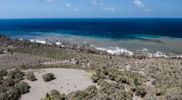 Photo aérienne d'un paysage où l'on aperçoit un rivage, du sable, des rochers et de la végétation.