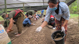 Several people spreading seeds on a farm. 