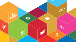 غلاف الدليل المرجعي حول خطة التنمية المستدامة لعام 2030