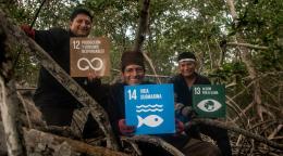 Three men, sitting in trees, hold three of the climate-related SDG signs, in Spanish, up. 