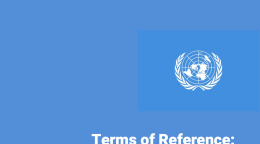 غلاف منشور للأمم المتحدة باللون الأزرق مع شعار المنظمة وعنوان المنشور باللون الأبيض.