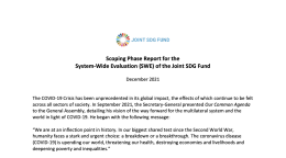 Front page of the document with the UN Joint SDG Fund logo on top of the page. 