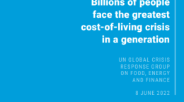 Una portada de informe azul, con texto blanco en el lado derecho y el logo de las Naciones Unidas en la esquina inferior izquierda.