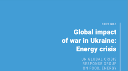 Portada de la publicación en color azul con el título en la esquina superior derecha y el logotipo de las Naciones Unidas en la esquina inferior izquierda.