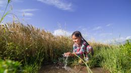 Au Tadjikistan, une petite fille aux cheveux tressés se lave les mains dans un ruisseau.