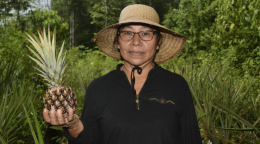 Dans une plantation d'ananas au Suriname, une femme de la localité autochtone de Lokono (Arawak) est photographiée portant un chapeau de paille et un chemisier noir et tenant un ananas dans la main droite en regardant la caméra.