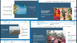 Capture d'écran des pages d'accueil des sites web de plusieurs équipes de pays des Nations Unies.