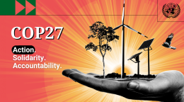 COP27: acción. solidaridad. responsabilidad.