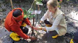 Valerie Julliand, Coordinadora Residente de las Naciones Unidas en Indonesia, en una plantación de manglares en Sulawesi del Norte.