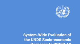 Publication cover in UN blue with the Organization's logo in white in the top right corner 