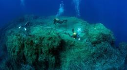 一组科学潜水员在葡萄牙马德拉港圣港的海底评估海洋生物多样性。
