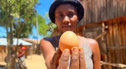 Lucette Vognentseva puede vender sus huevos a un precio cuatro veces superior al de un huevo local.