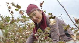 Женщина ухаживает за засыхающими растениями в поле