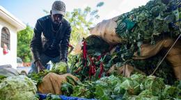 A man in a blue shirt and grey cap crouches over sacks of green vegetables on the ground.