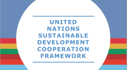 Cover of the UN Sustainable Development Cooperation Framework