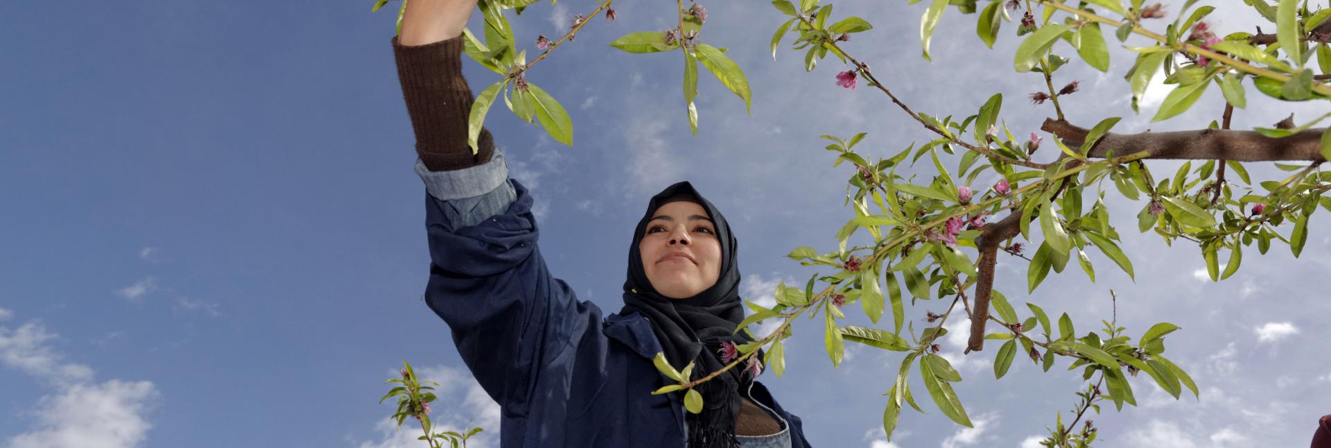 A young lady is pictured from below as she extends her arm proudly to reach for a tree branch.