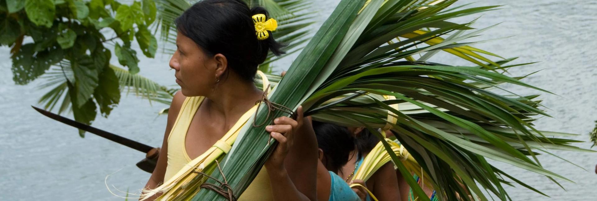 Women carry long, green stalks of plants and grass near a river. 