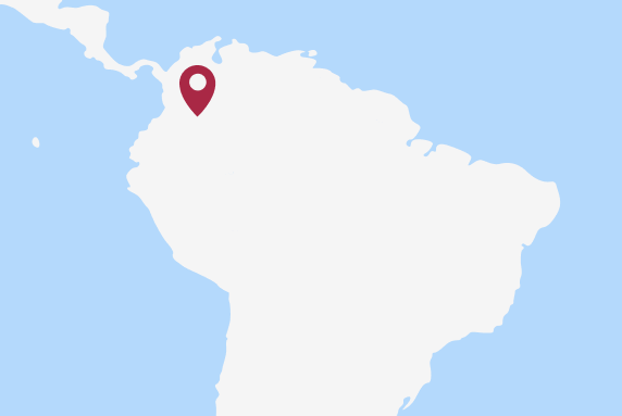 A borderless map of South America with a pin located on Colombia.
