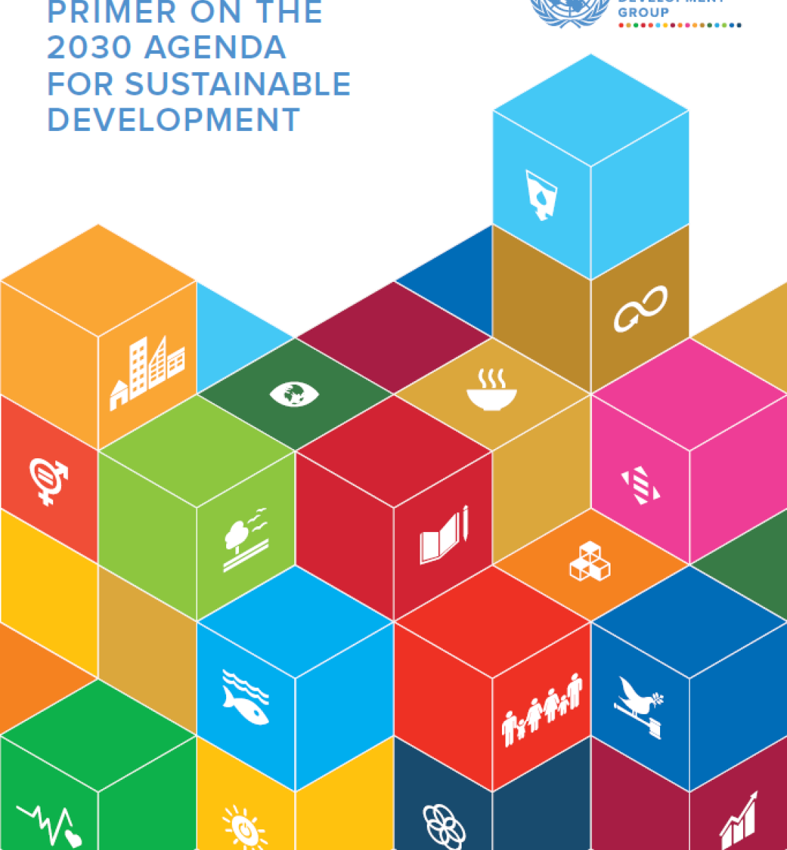 Cover shows title placed on the top left of the document, displayed above colourful SDG building blocks, several of which contain the SDG logos. 