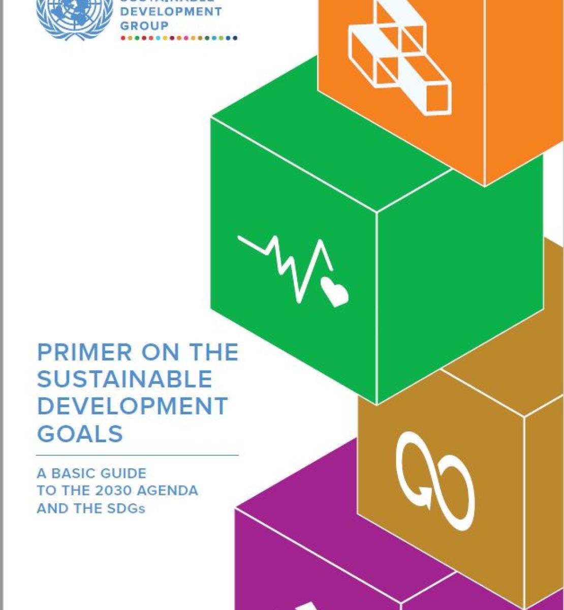 Cover shows SDG blocks on the cover with the title Primer on the Sustainable Development Goals: A Basic Guide to the 2030 Agenda and the SDGs