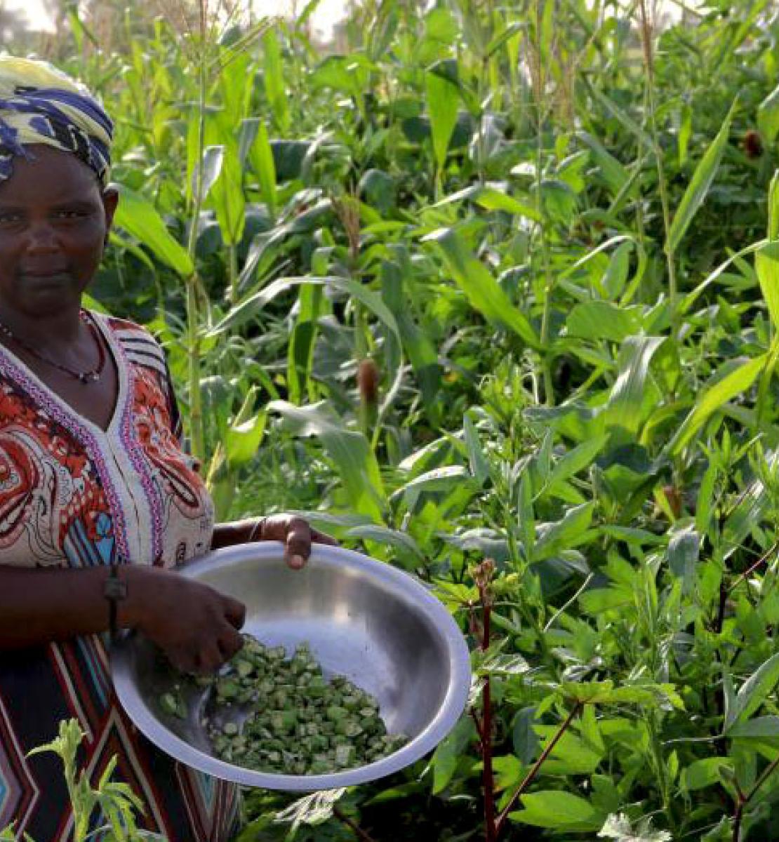 A woman holds a bowl of beans as she stands in the middle of a lush field of crops.