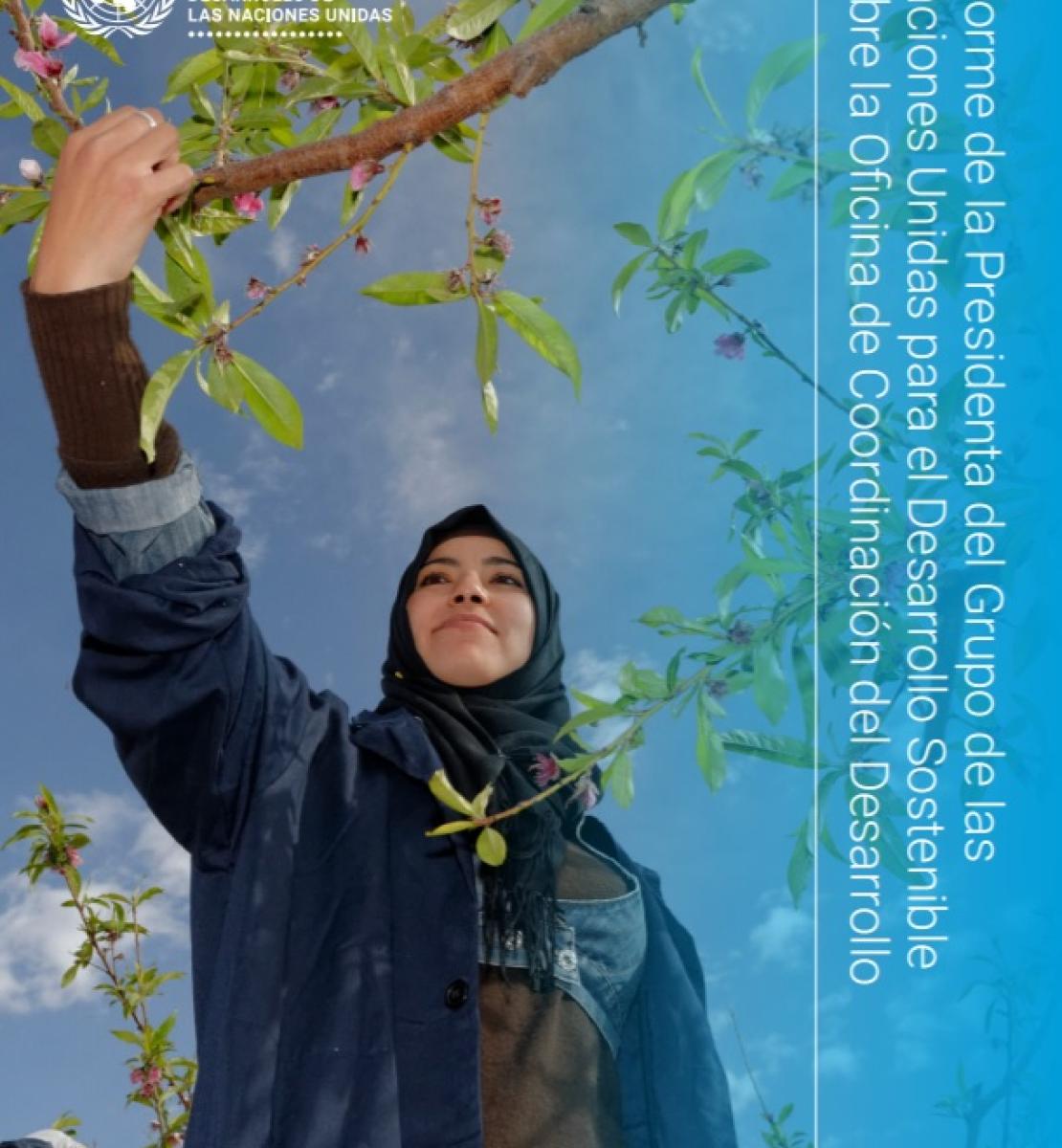 Portada del Informe 2021 de la Presidencia del Grupo de las Naciones Unidas para el Desarrollo Sostenible sobre la Oficina de Coordinación del Desarrollo. Se muestra un plano contrapicado de una mujer recolectando frutos en un árbol, con un cielo azul despejado en el fondo.