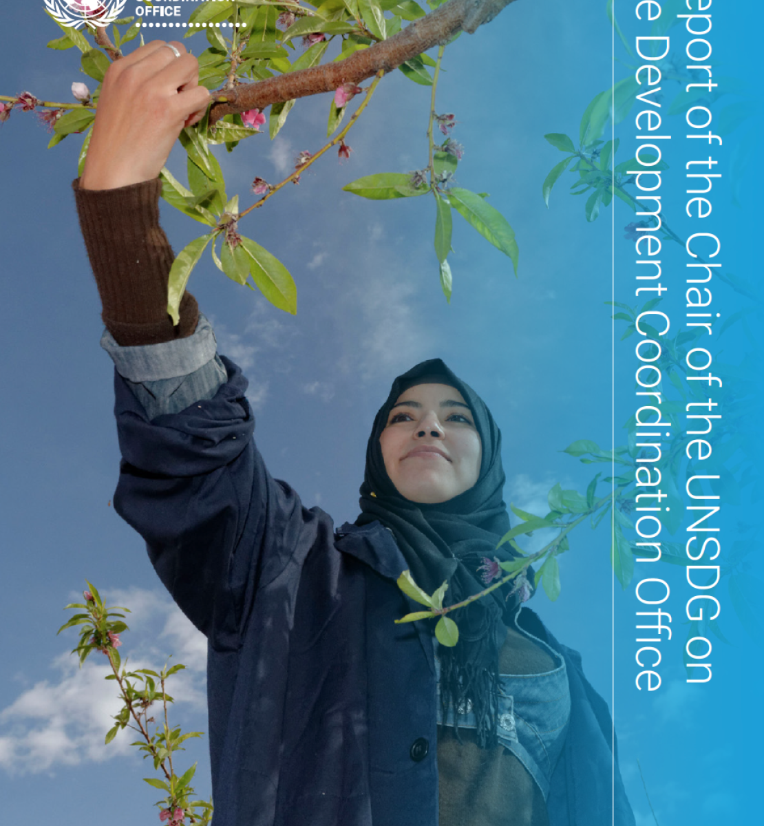 The cover shows an image of a young woman reaching for a tree branch with the UN emblem to the top left of the cover and title displayed vertically across the right edge of the cover.