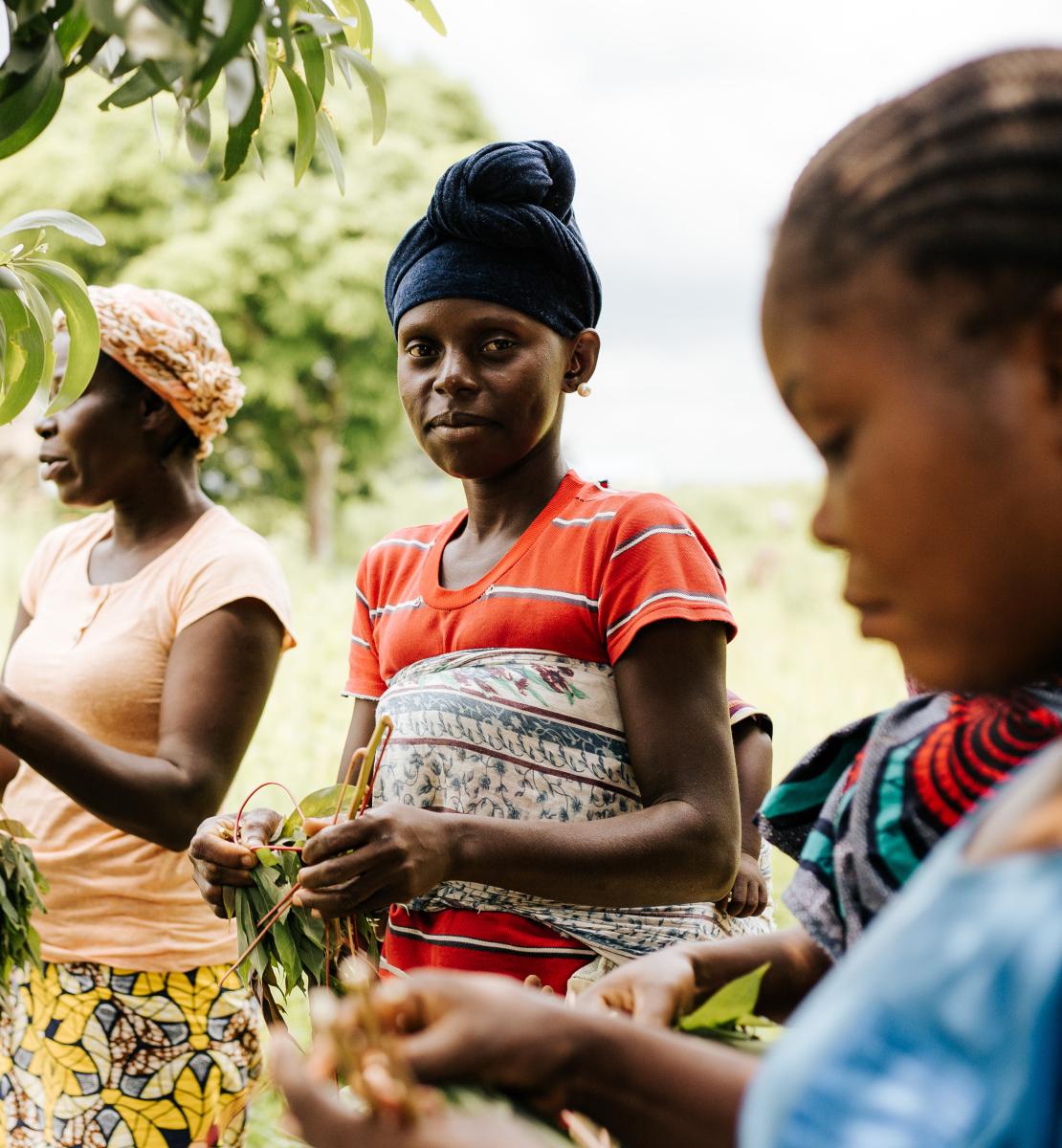Trois jeunes femmes récoltent des produits agricoles dans un champ.