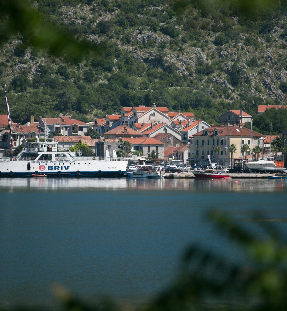 An image of a harbor with boats, buildings, and trees in the background.