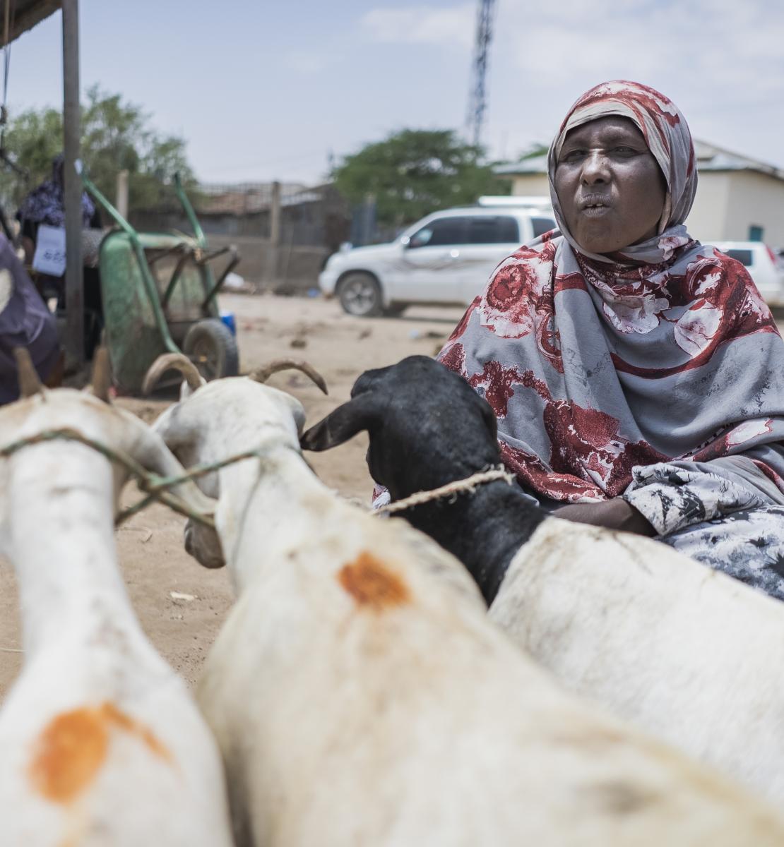 A woman sits next to goats at an open air livestock market. 