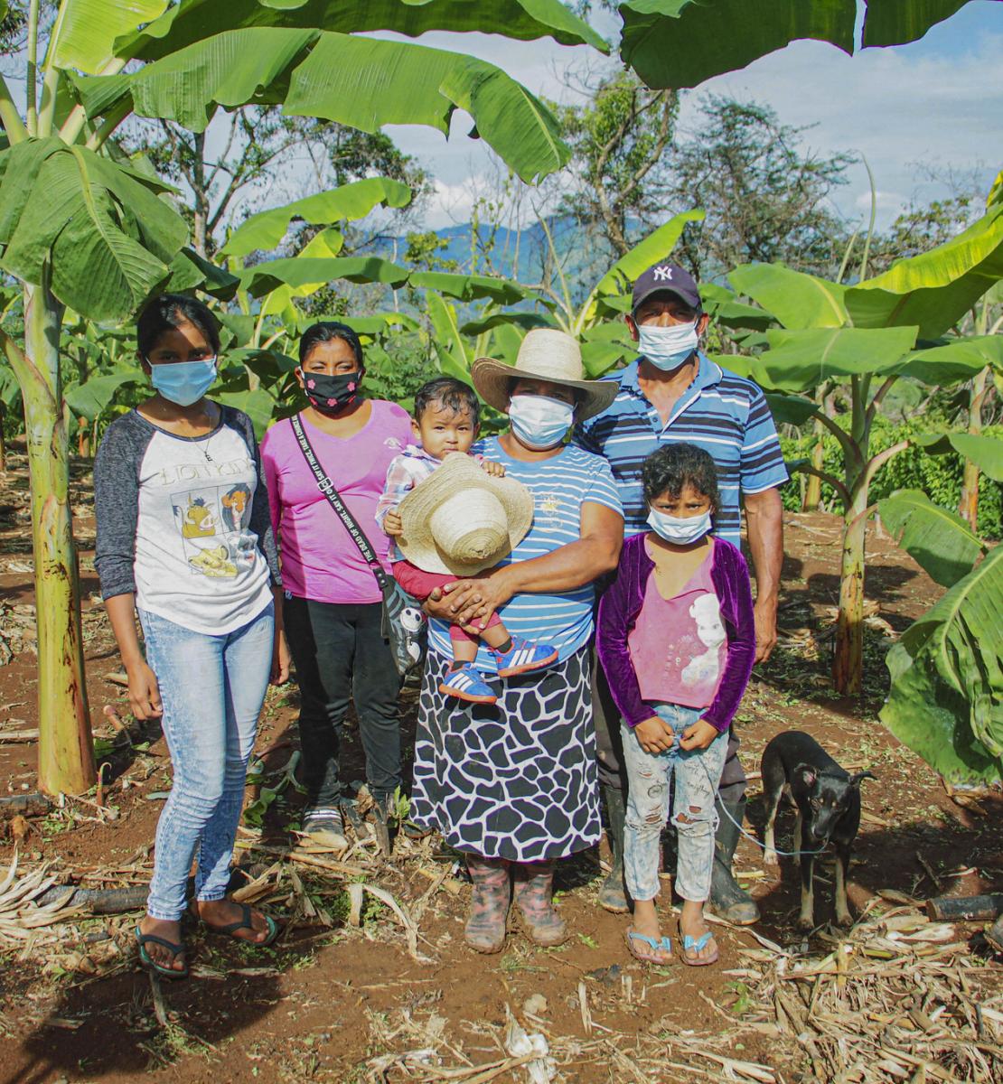 A family of six, wearing masks, in the middle of a crop field.