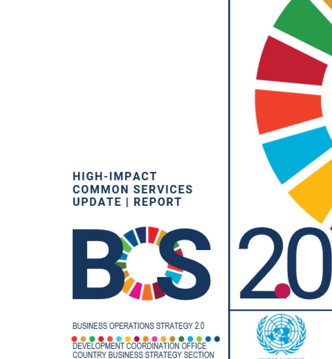 غلاف الخدمات المشتركة شديدة التأثير مع عجلة أهداف التنمية المستدامة وشعار مجموعة الأمم المتحدة للتنمية المستدامة