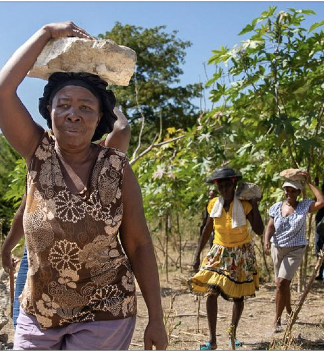 En Haïti, au pied d’une colline, des femmes marchent les unes derrière les autres en tenant une pierre sur la tête.