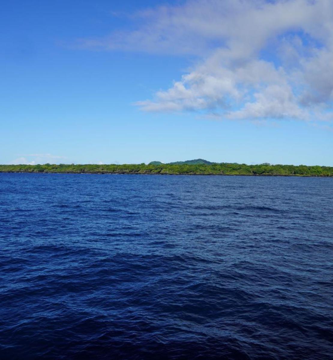 صورة لمحيط أزرق في يوم صاف.