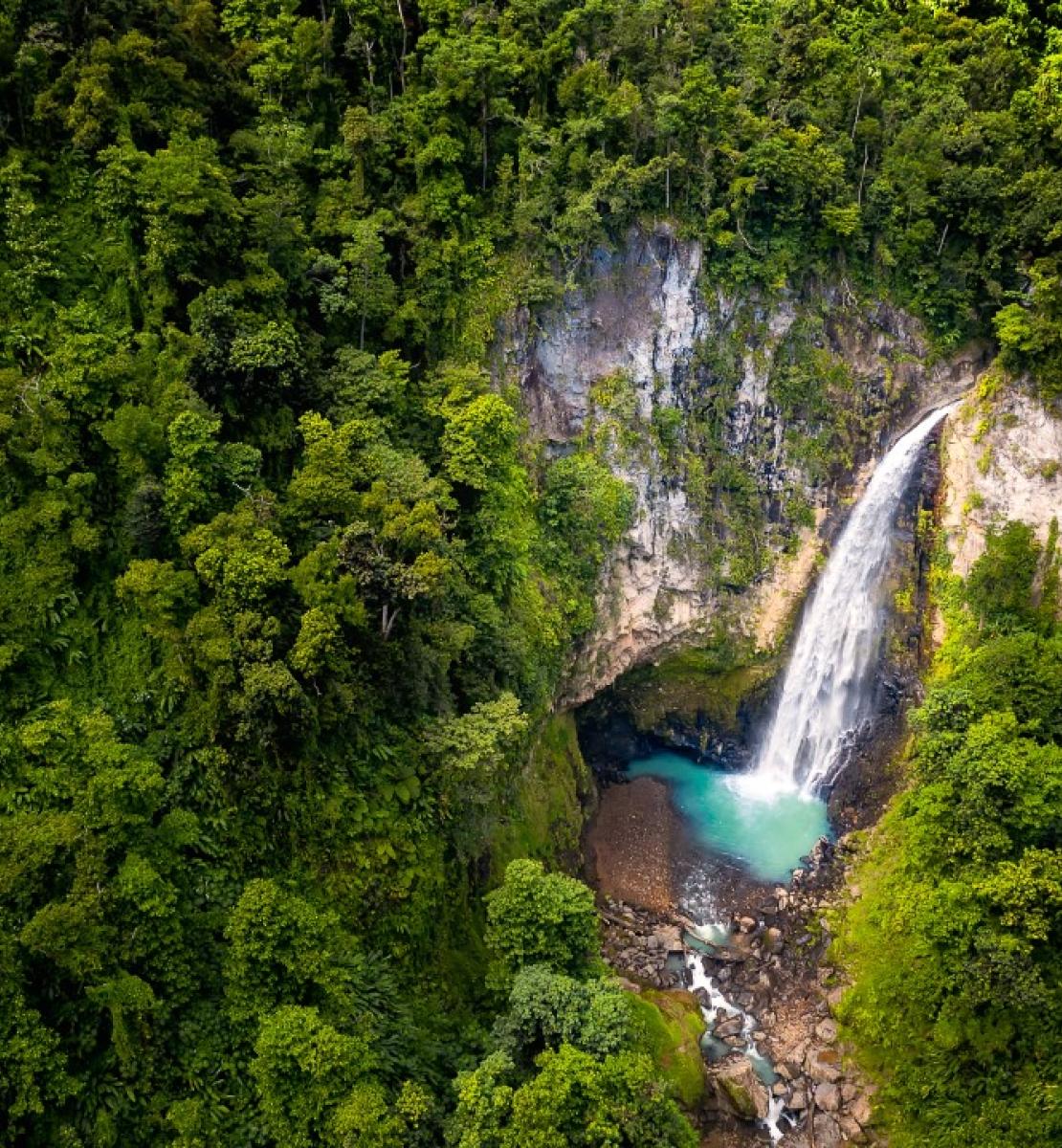 Vue d'une des plus grandes chutes d'eau de la Dominique.
