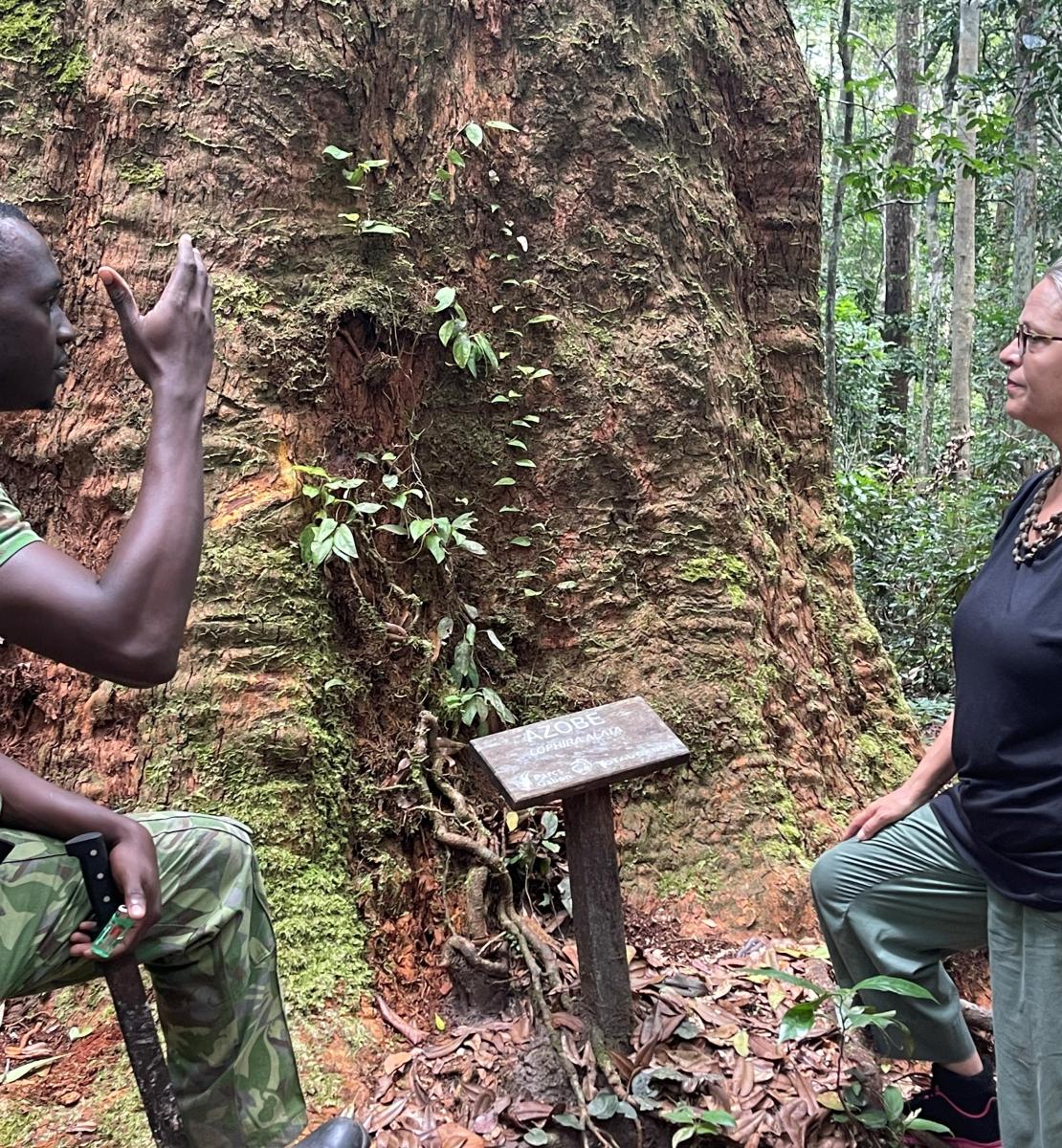联合国驻加蓬协调员萨维纳·阿马萨里参观加蓬首都利伯维尔附近的拉蓬达·沃克植物园森林。