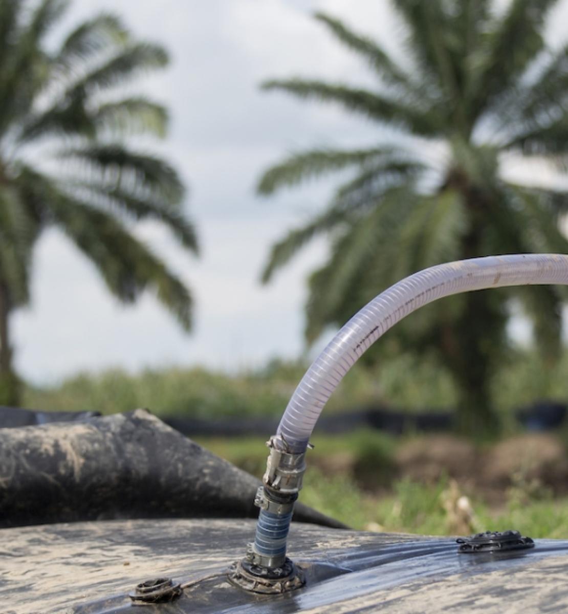 In Burundi, a young man wearing gray pants and a t-shirt without sleeves uses a hose to pump water from a portable dam set up near two palm trees.
