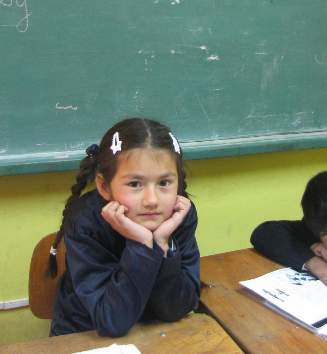 Una niña y un niño sentados en sus pupitres frente a un pizarrón en un salón de clases.