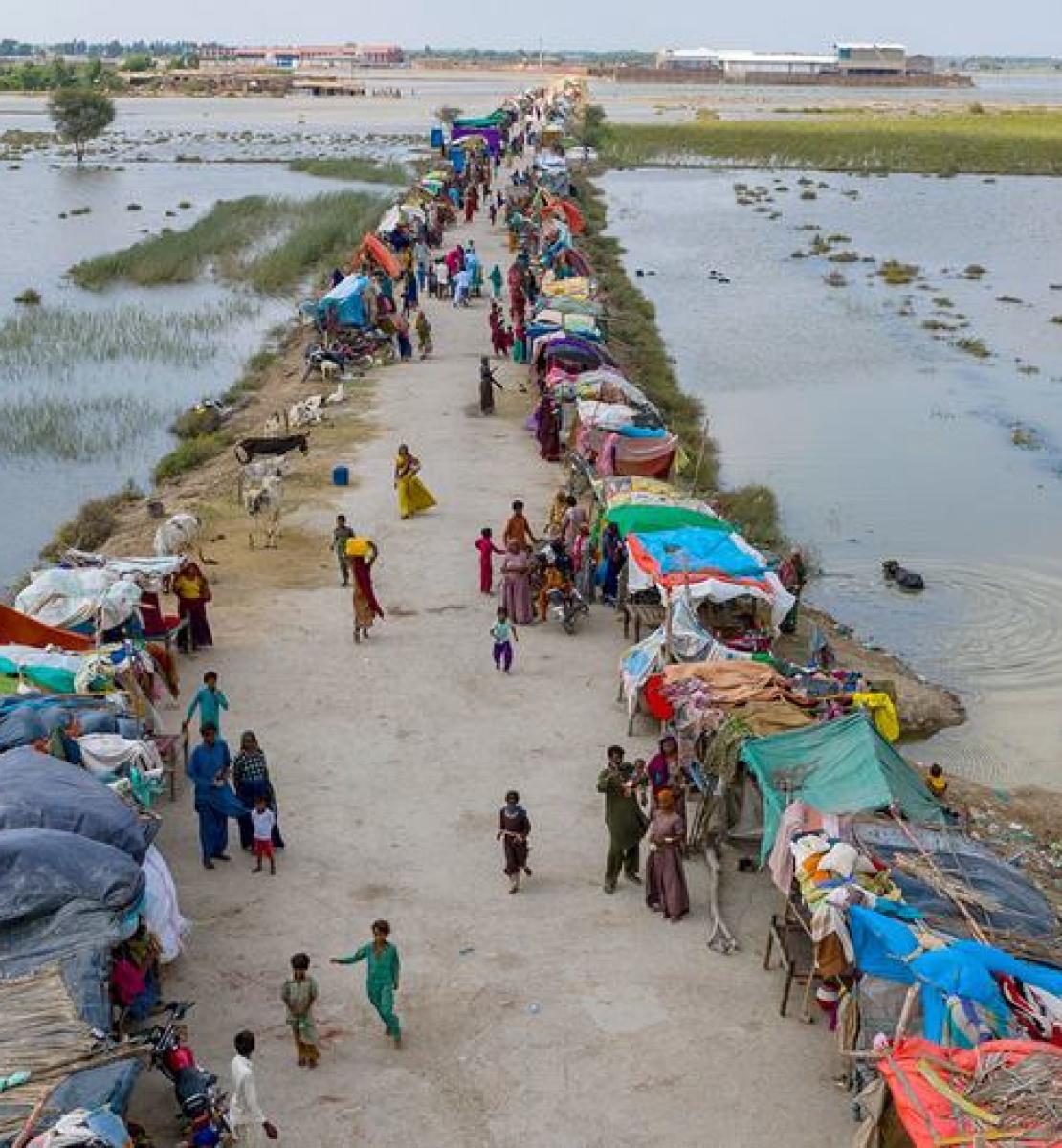 Refugee camp in the flooded area in Pakistan. 