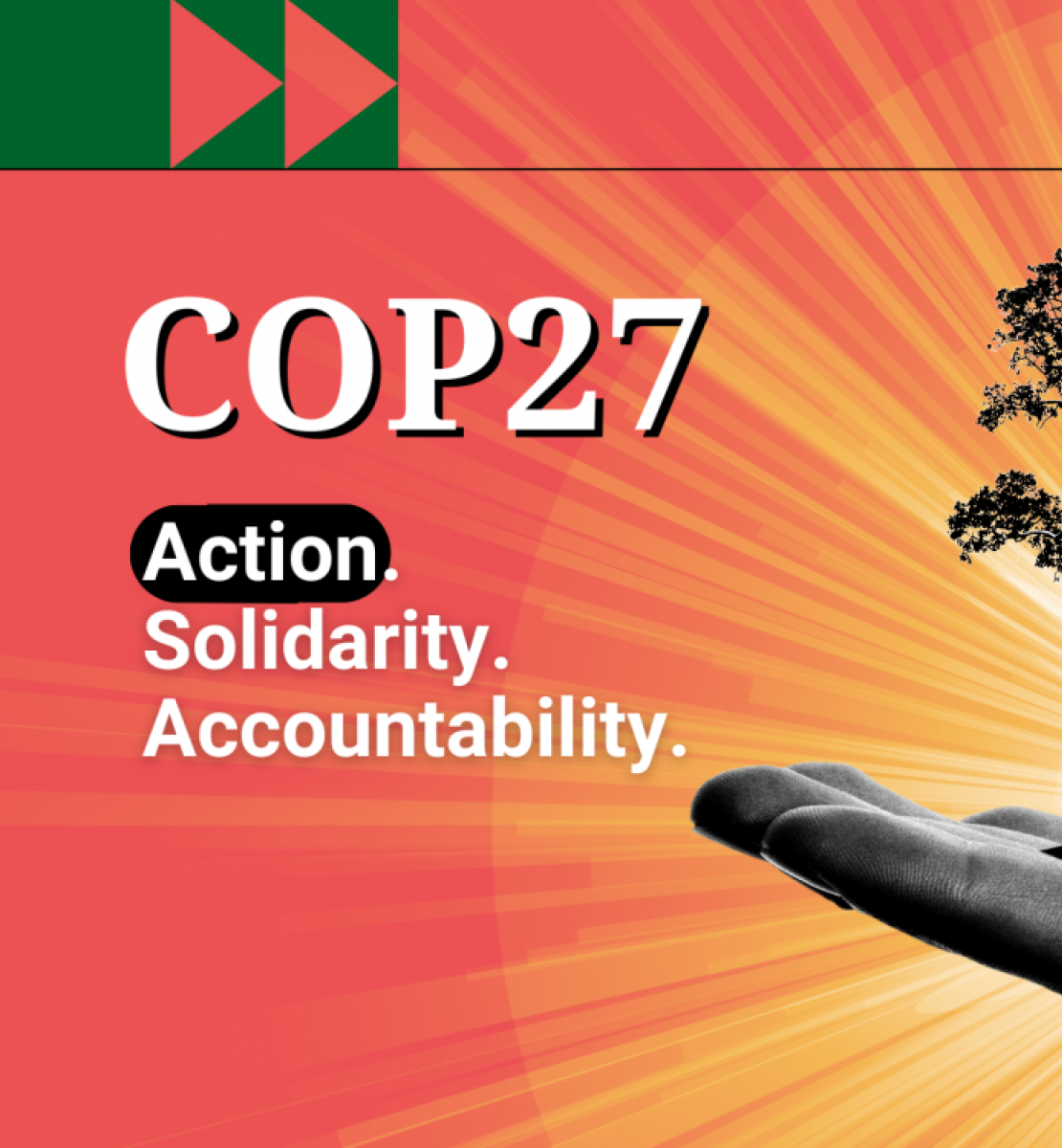 COP27: acción. solidaridad. responsabilidad.